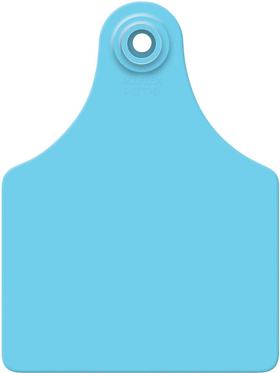 All Flex Blank Large Female Tags, Blue