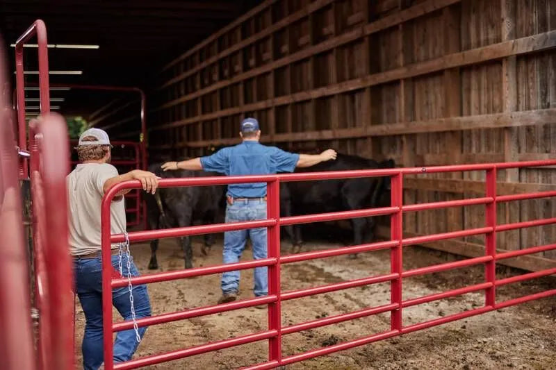 Tarter 4' Bullmax HD Round Corner Gate, Red