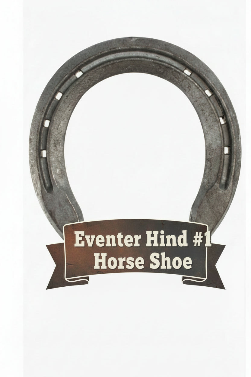 1 Front Eventer, St. Croix Horseshoe