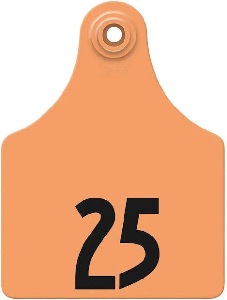 All Flex Maxi Female Tags, Orange, #1-25