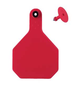 Y-Tex 4-Star Blank Combo Tag, Large, Red, 25 count