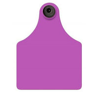 All Flex Blank Maxi Female Tags, Purple