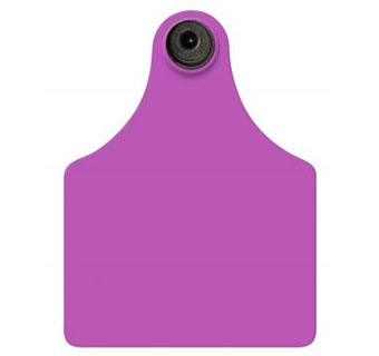All Flex Blank Maxi Female Tags, Purple