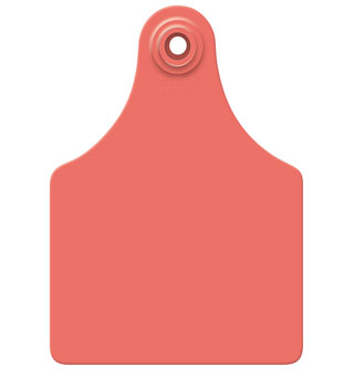 All Flex Blank Maxi Female Tags, Red