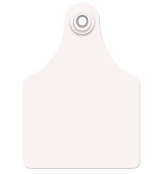 All Flex Blank Maxi Female Tags, White