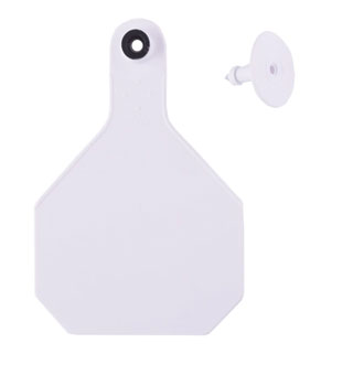 Y-Tex 4-Star Blank Combo Tag, Large, White, 25 count