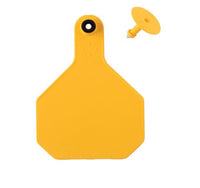 Y-Tex 2-Piece Combo Blank Tags, Large, Yellow, 25 count