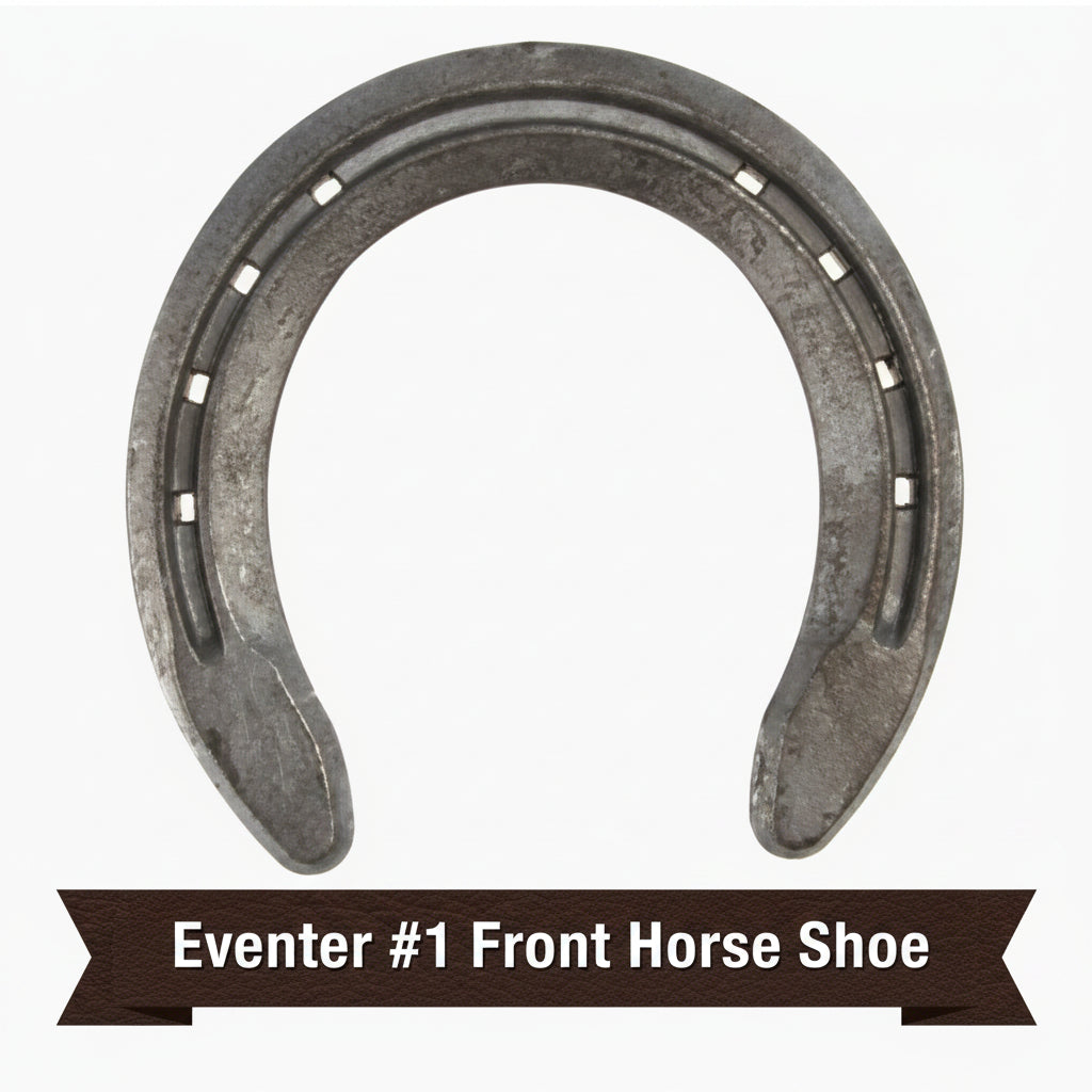 1 Hind Eventer, St. Croix, Horseshoe
