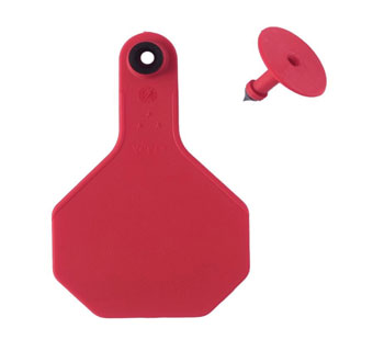 Y-Tex 3-Star Blank Combo Tag, Medium, Red, 25 count