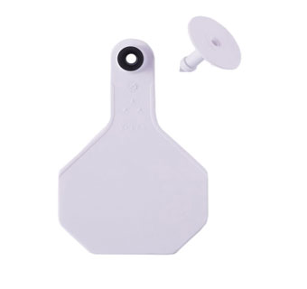 Y-Tex 3-Star Blank Combo Tags, Medium, White, 25 count