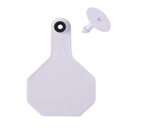 Y-Tex 3-Star Blank Combo Tags, Medium, White, 25 count