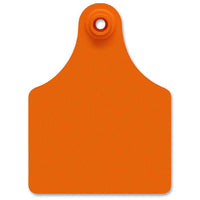 ALL FLEX MAXI FEM ORANGE