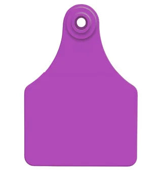 All Flex Blank Large Female Tags, Purple