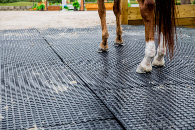 Stall Mat, 3/4" x 4' x 6'