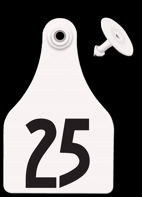 All Flex Large Female Tags, White, #1-25