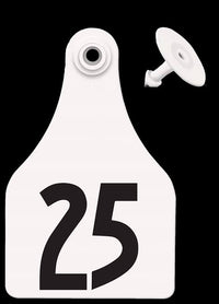 All Flex Large Female Tags, White, #1-25